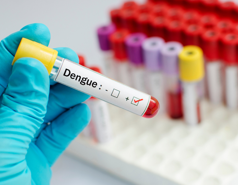 Leia - Quais são os sintomas da dengue? Prevenção e mais